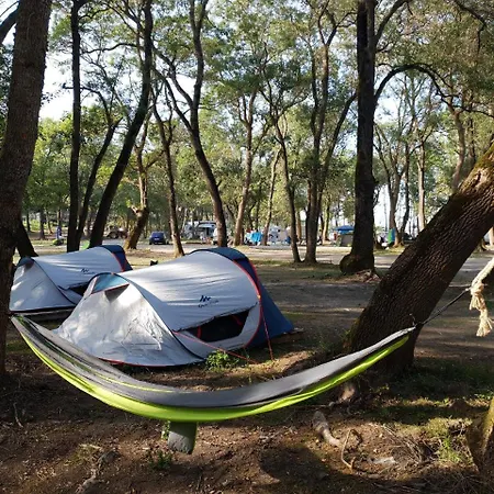 营地 Camping Atliman 希典